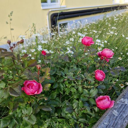 Paeitara Hof Villa Mariánské Lázně Eksteriør bilde